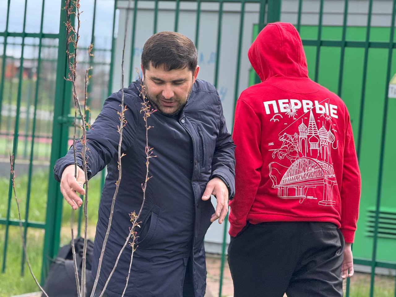 ## В нашей школе зазеленела память! ??.